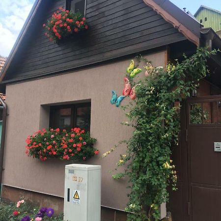 Maison Rosmina Brasov Luaran gambar