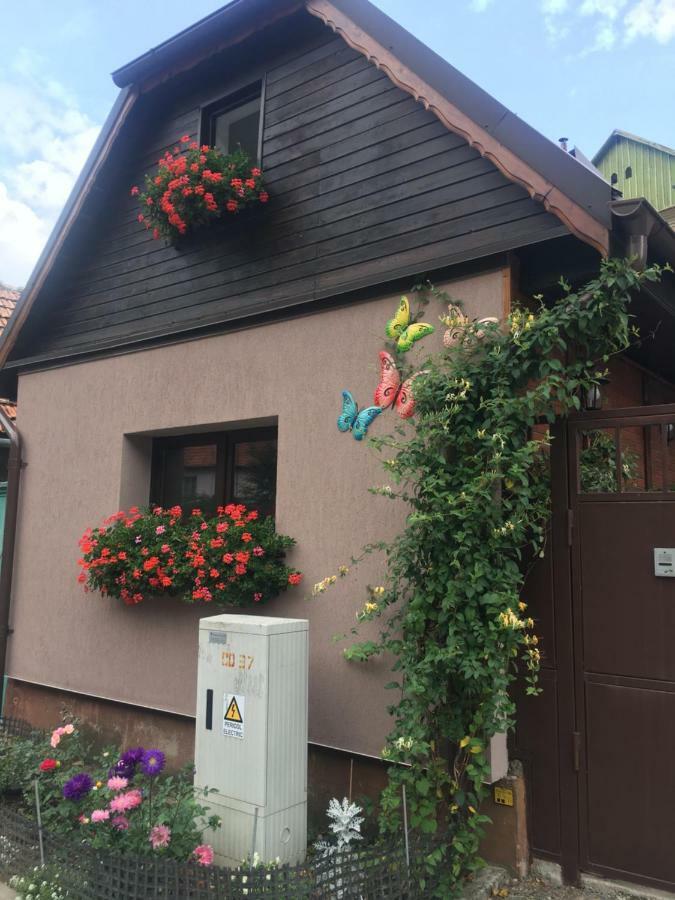 Maison Rosmina Brasov Luaran gambar